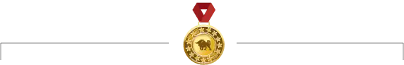 Elite medal
